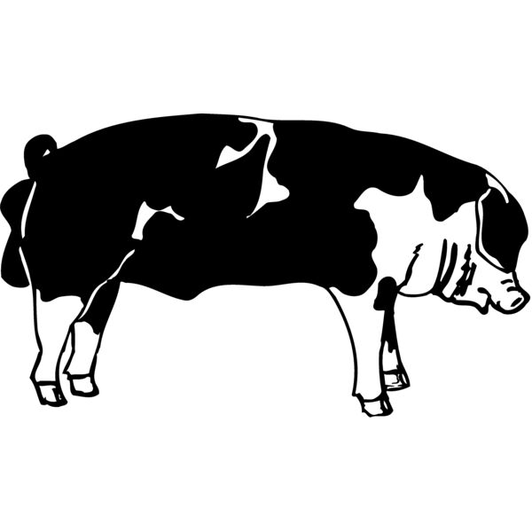 HOG0003 Miniaturansicht