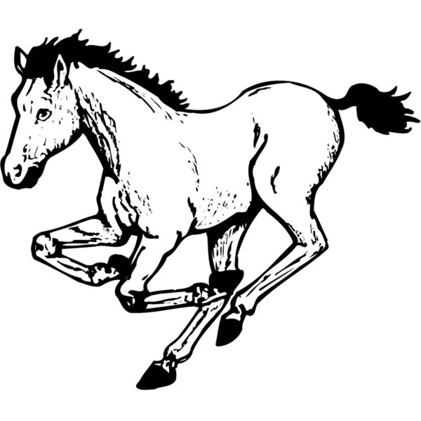 HORSE043 Miniaturansicht