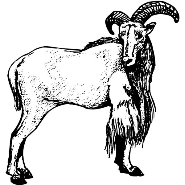 RAM001 Miniaturansicht