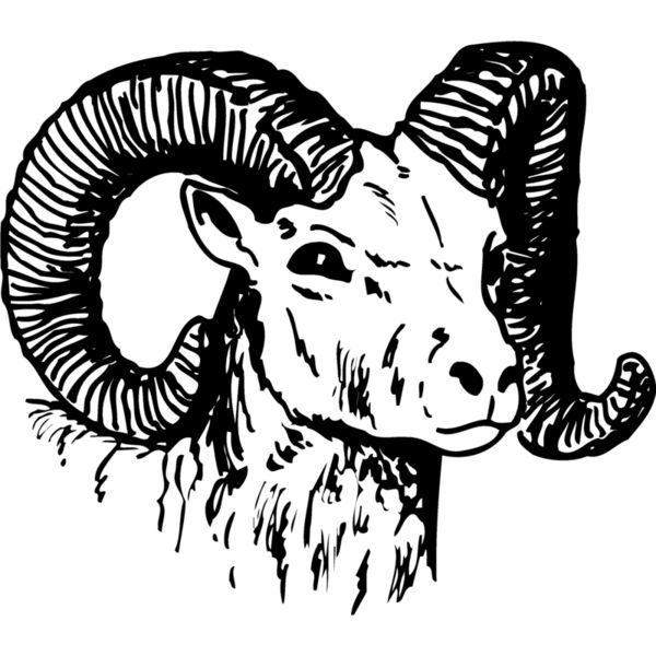 RAM010 Miniaturansicht