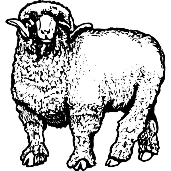 SHEEP001 Miniaturansicht