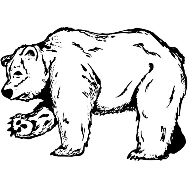 BEAR012 Miniaturansicht