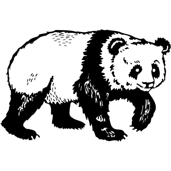 BEAR019 Miniaturansicht