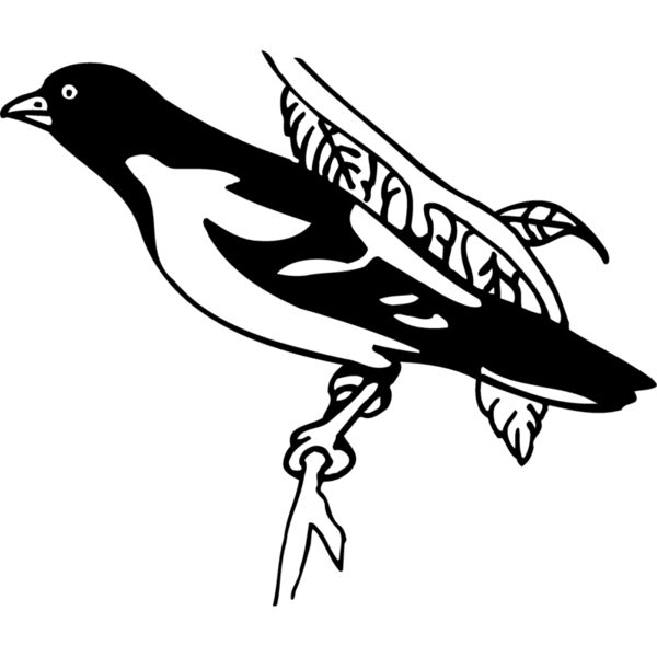 BIRD038 Miniaturansicht