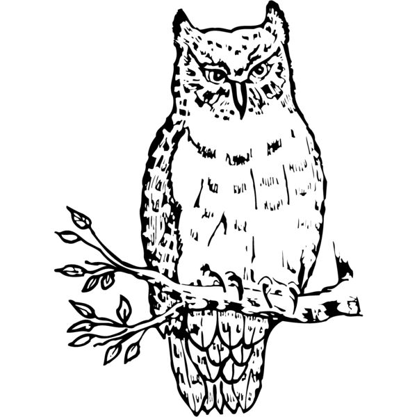 BIRD049 Miniaturansicht