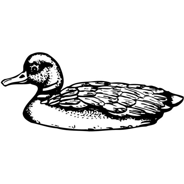 BIRD093 Miniaturansicht