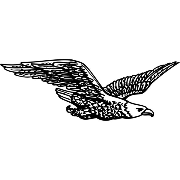 EAGLE006 Miniaturansicht