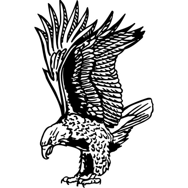 EAGLE020 Miniaturansicht