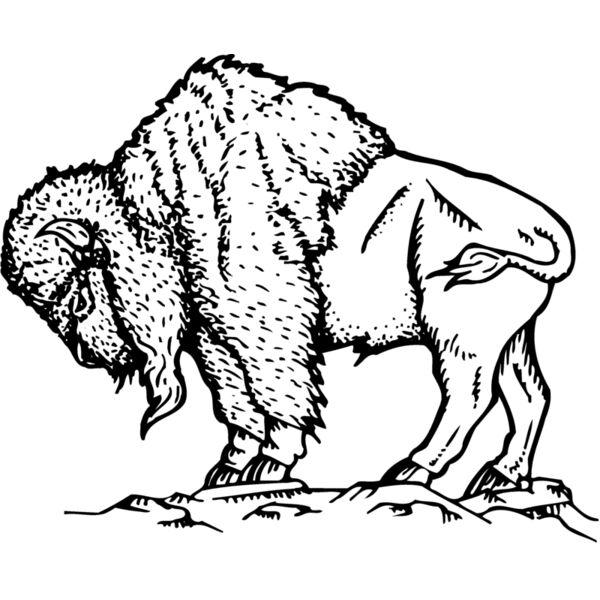 BUFF007 Miniaturansicht