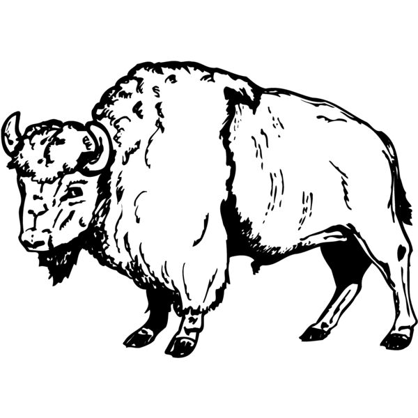 BUFF008 Miniaturansicht