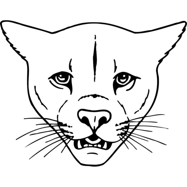 CAT16 Miniaturansicht