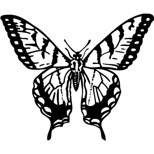 BTRFLY06 Miniaturansicht