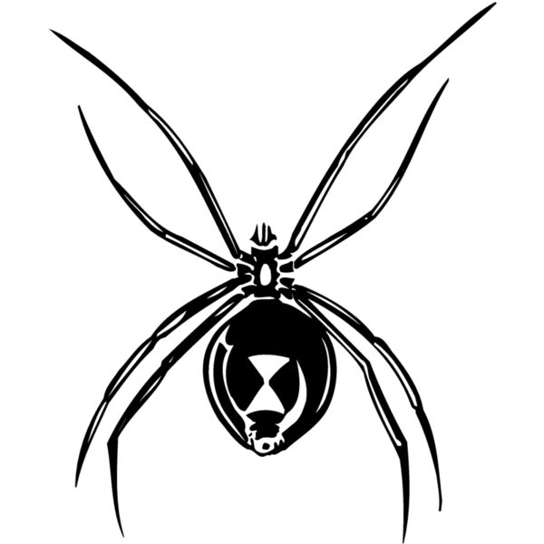 SPIDER02 Miniaturansicht