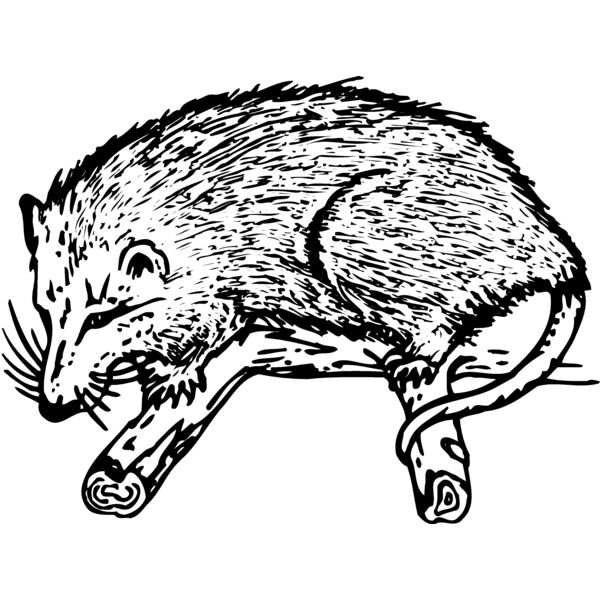 POSSUM01 Miniaturansicht