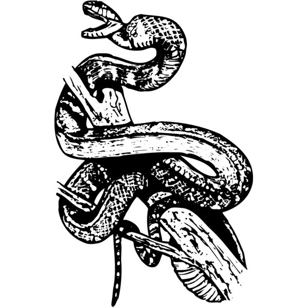 SNAKE008 Miniaturansicht