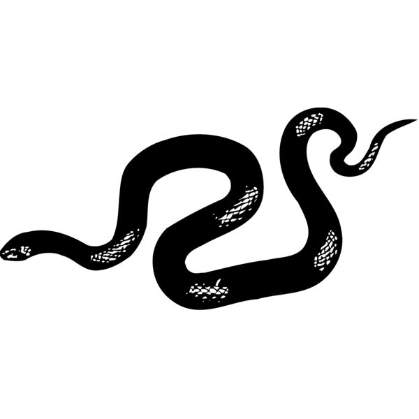 SNAKE013 Miniaturansicht