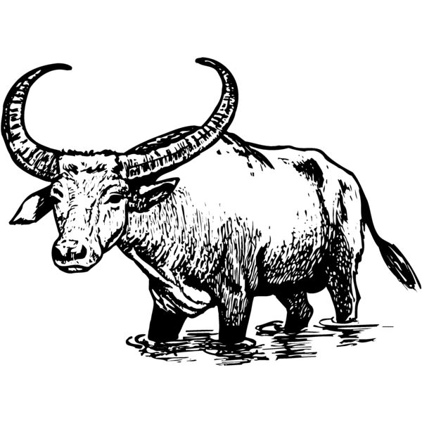 WBUFF003 Miniaturansicht