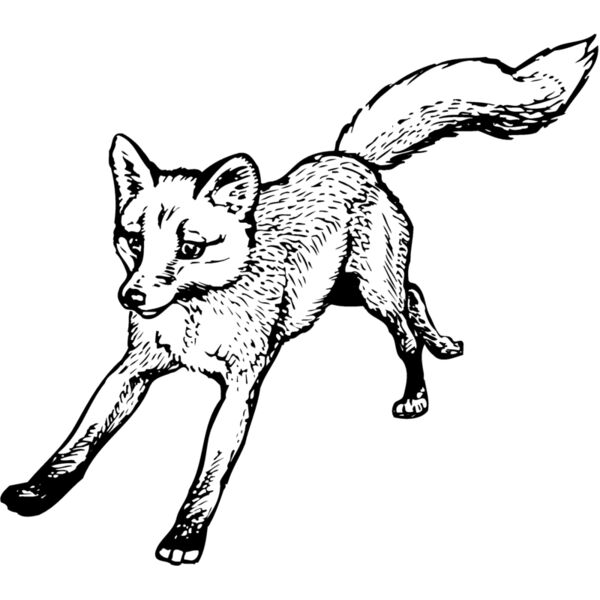 F_W007 Miniaturansicht