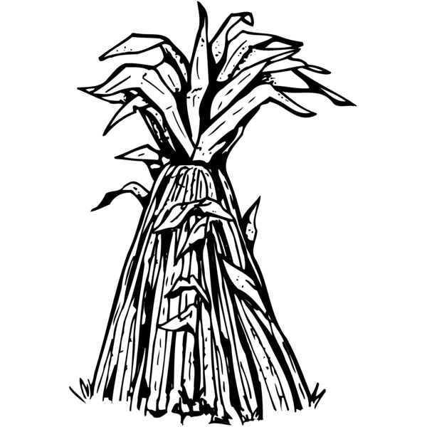 GRAIN014 Miniaturansicht