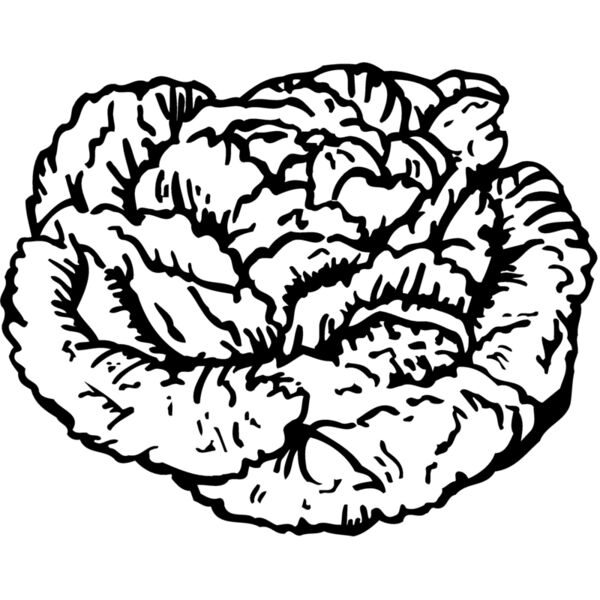 VEG016 Miniaturansicht