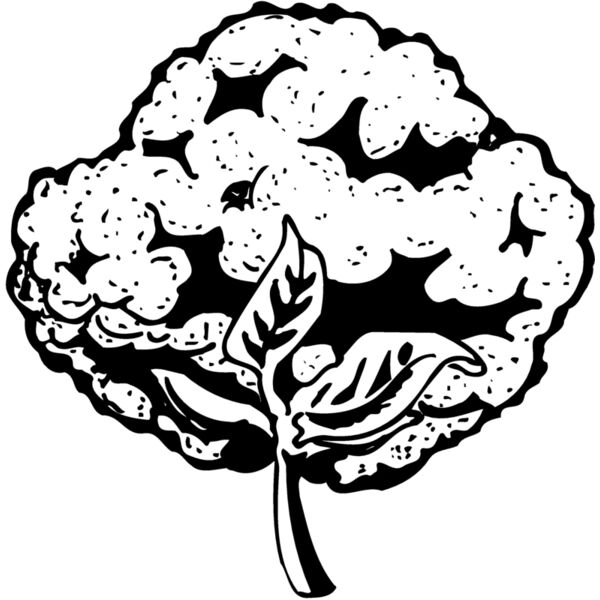 VEG021 Miniaturansicht