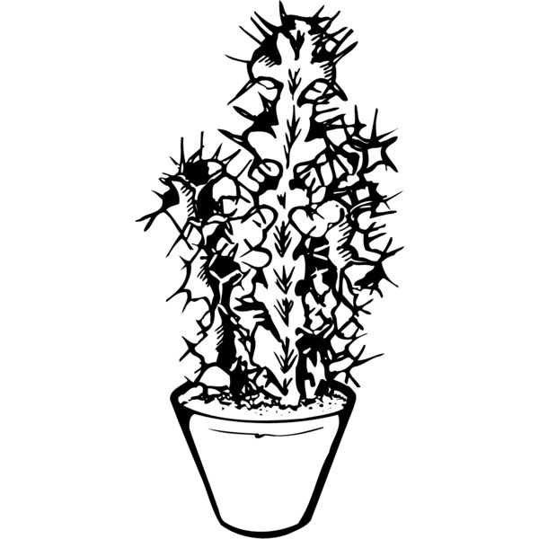 CACTUS04 Miniaturansicht