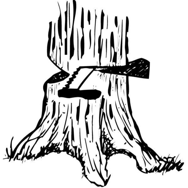 TIMBER13 Miniaturansicht