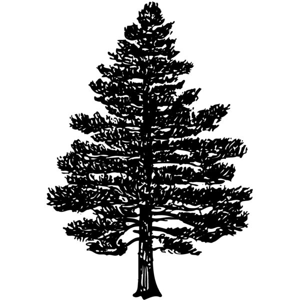 TREE0003 Miniaturansicht