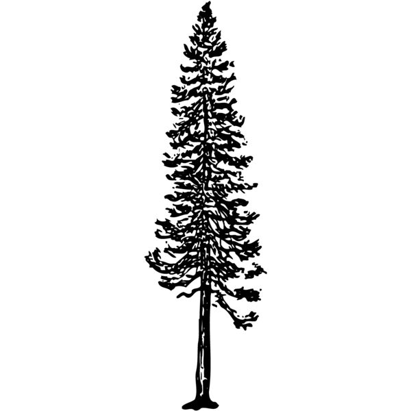 TREE0006 Miniaturansicht