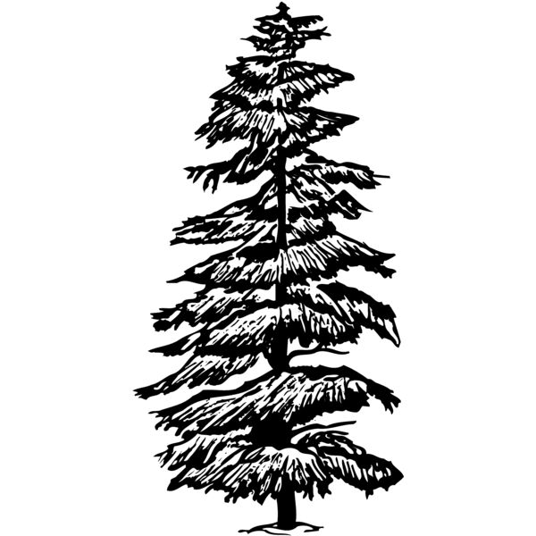 TREE0007 Miniaturansicht