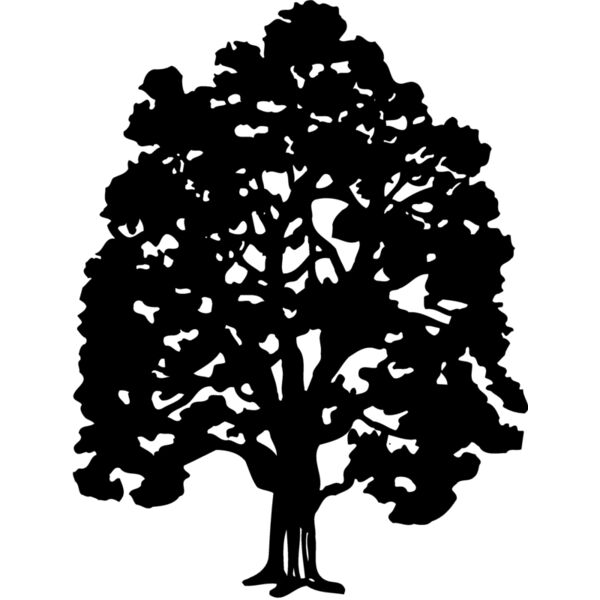 TREE0008 Miniaturansicht