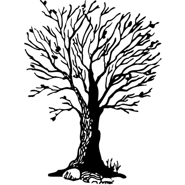 TREE0020 Miniaturansicht