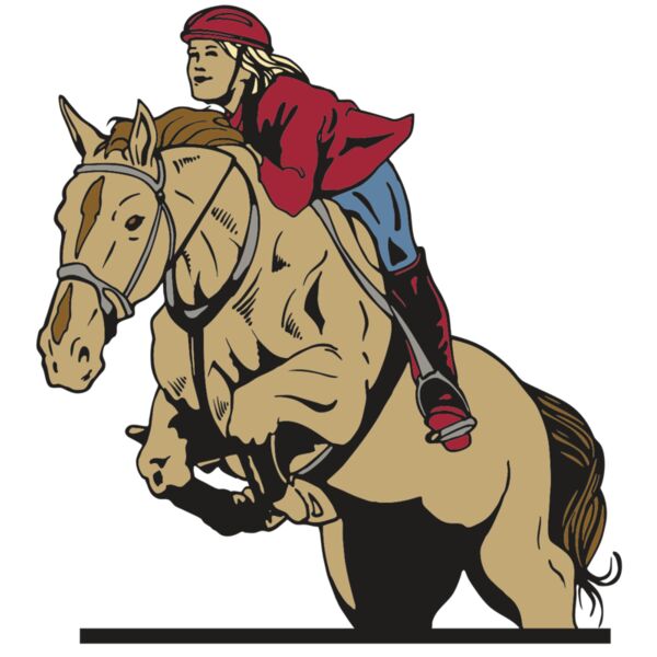 AR EQUEST 12 RC Miniaturansicht