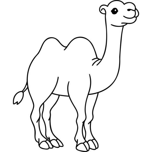 Camel   Clipart 1 Miniaturansicht