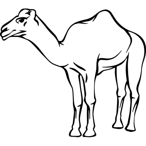 Camel   Clipart 2 Miniaturansicht