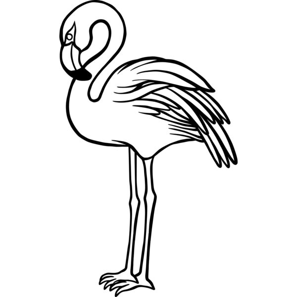 Flamingo   Clipart 1 Miniaturansicht