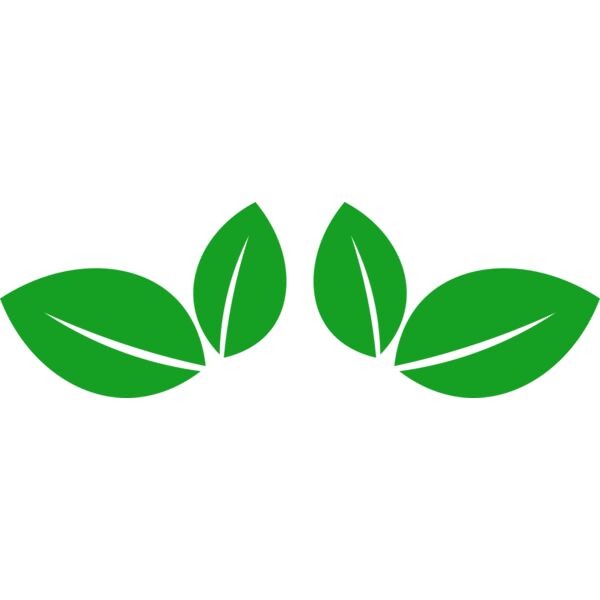 11 Leaves Miniaturansicht