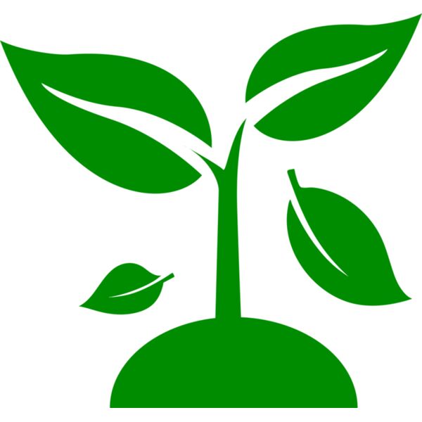 48 Plant Miniaturansicht