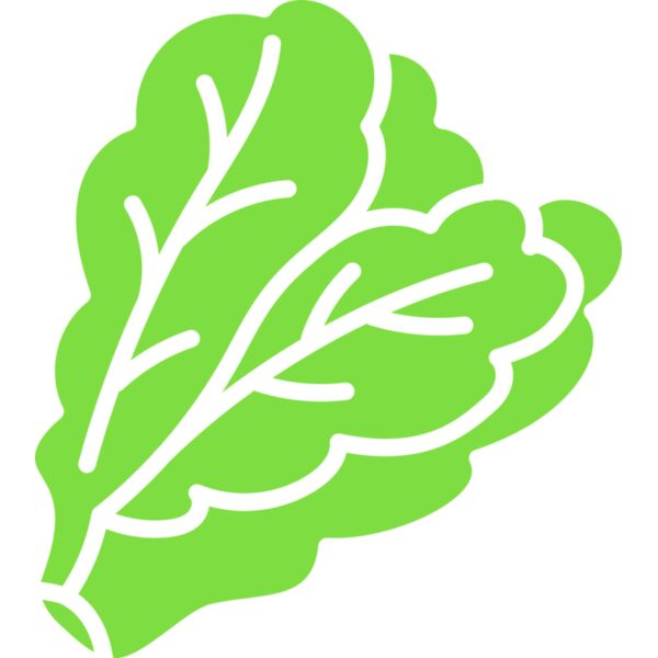 Lettuce Miniaturansicht