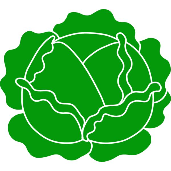 Cabbage Miniaturansicht