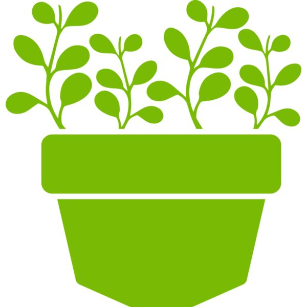 Succulent Plant 3 Miniaturansicht