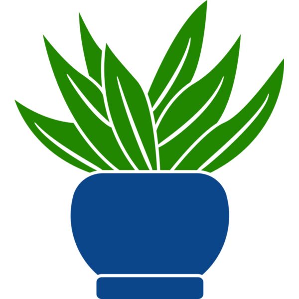 Succulent Plant 2 Miniaturansicht