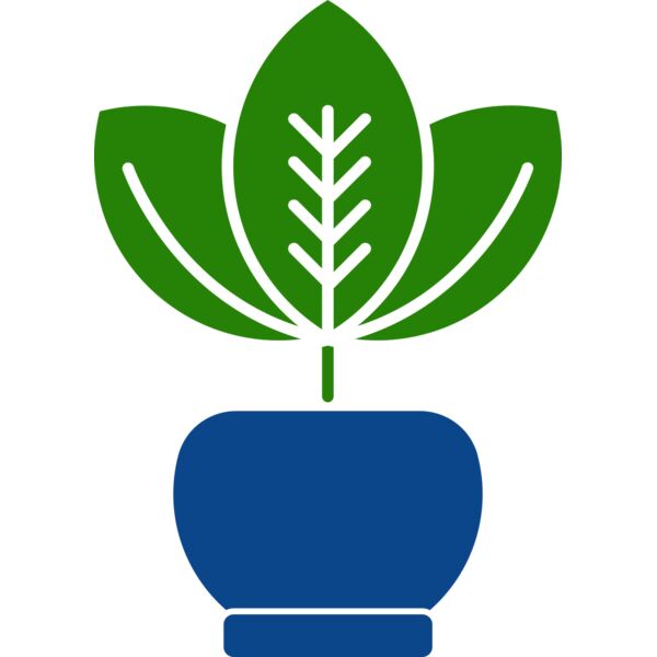 Plant 2 Miniaturansicht