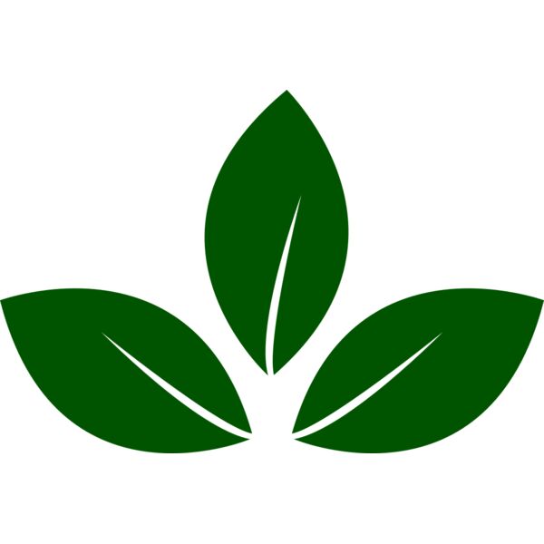 Leaves 5 Miniaturansicht