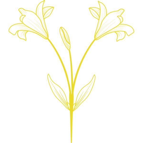 Flowers 9 Miniaturansicht