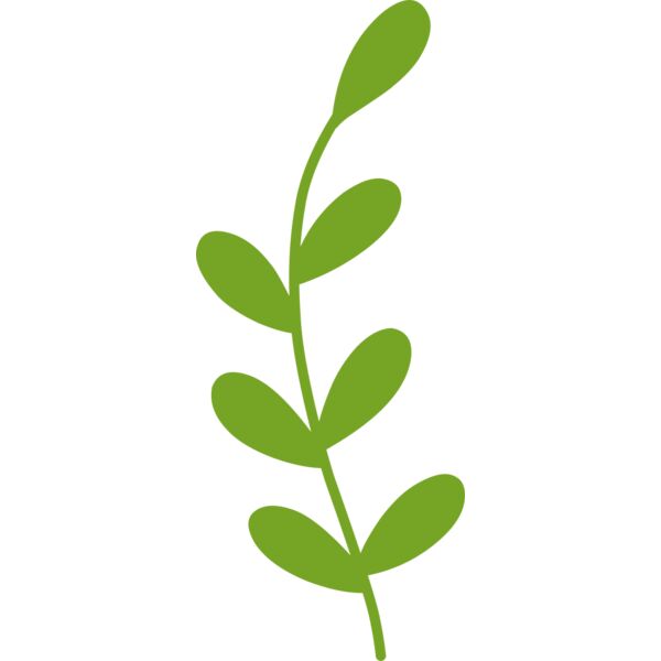 Flowers 5 Miniaturansicht