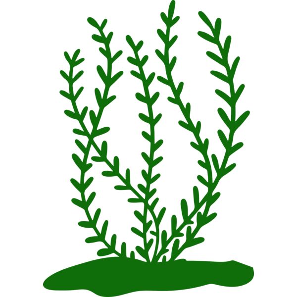 Sea Plants 3 Miniaturansicht