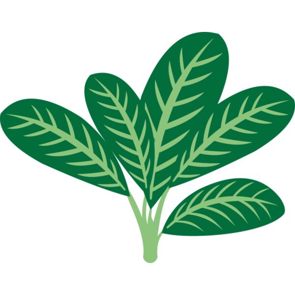 Plants 7 Miniaturansicht