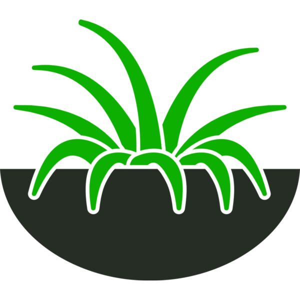 Plants 6 Miniaturansicht