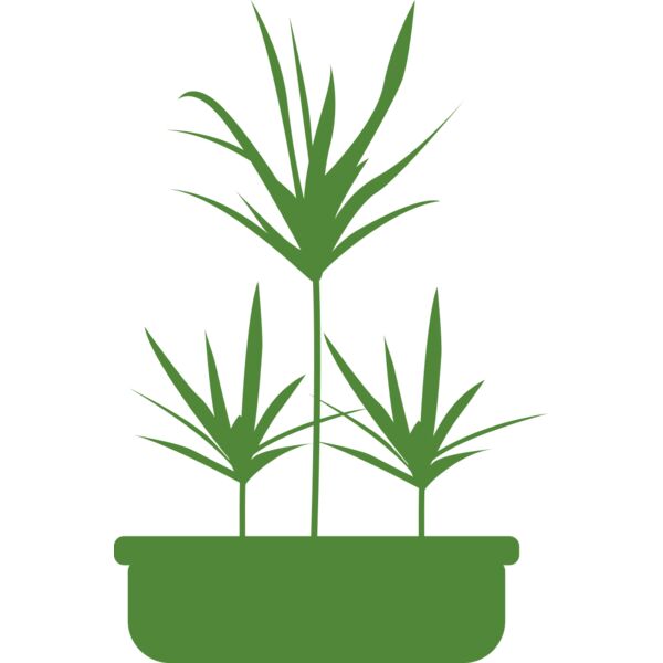 Plants 5 Miniaturansicht